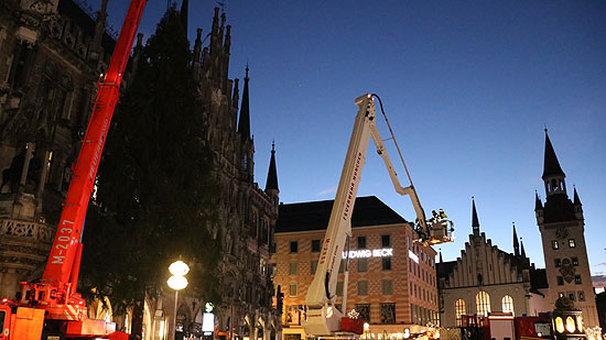Gegen 6.40 Uhr war man im Wesentlichen fertig mit der Aufstellung des Christbaums aus Farchant auf dem Marienplatz (©Foto: Martin Schmitz)